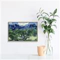 Picture of Vincent Van Gogh's Olive Trees With the Alpilles (1889) _GroupedProduct_Rectangle_Landscape_Canvas_Framed_