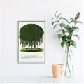 Picture of Kilmarnock Weeping Willow Tree Lithograph _GroupedProduct_Rectangle_Portrait_Canvas_Framed_