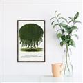 Picture of Kilmarnock Weeping Willow Tree Lithograph _GroupedProduct_Rectangle_Portrait_Canvas_Framed_