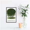 Picture of Kilmarnock Weeping Willow Tree Lithograph _GroupedProduct_Rectangle_Portrait_Canvas_Framed_