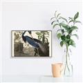 Picture of Vintage Heron Bird _GroupedProduct_Rectangle_Landscape_Canvas_Framed_
