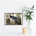 Picture of Vintage Heron Bird _GroupedProduct_Rectangle_Landscape_Canvas_Framed_