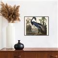 Picture of Vintage Heron Bird _GroupedProduct_Rectangle_Landscape_Canvas_Framed_