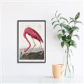 Picture of Vintage Pink Flamingo _GroupedProduct_Rectangle_Portrait_Canvas_Framed_
