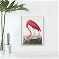 Picture of Vintage Pink Flamingo _GroupedProduct_Rectangle_Portrait_Canvas_Framed_