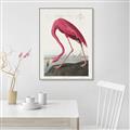 Picture of Vintage Pink Flamingo _GroupedProduct_Rectangle_Portrait_Canvas_Framed_