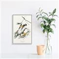 Picture of Two Yellow Warbler Birds _GroupedProduct_Rectangle_Portrait_Canvas_Framed_
