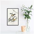 Picture of Two Yellow Warbler Birds _GroupedProduct_Rectangle_Portrait_Canvas_Framed_