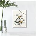 Picture of Two Yellow Warbler Birds _GroupedProduct_Rectangle_Portrait_Canvas_Framed_