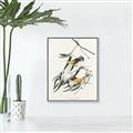 Picture of Two Yellow Warbler Birds _GroupedProduct_Rectangle_Portrait_Canvas_Framed_