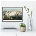 Picture of Vintage Floating White Swan _GroupedProduct_Rectangle_Landscape_Canvas_Framed_