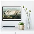 Picture of Vintage Floating White Swan _GroupedProduct_Rectangle_Landscape_Canvas_Framed_