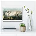 Picture of Vintage Floating White Swan _GroupedProduct_Rectangle_Landscape_Canvas_Framed_
