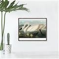 Picture of Vintage Floating White Swan _GroupedProduct_Rectangle_Landscape_Canvas_Framed_