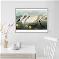 Picture of Vintage Floating White Swan _GroupedProduct_Rectangle_Landscape_Canvas_Framed_