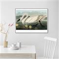 Picture of Vintage Floating White Swan _GroupedProduct_Rectangle_Landscape_Canvas_Framed_
