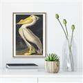 Picture of Vintage White Pelican _GroupedProduct_Rectangle_Portrait_Canvas_Framed_