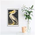 Picture of Vintage White Pelican _GroupedProduct_Rectangle_Portrait_Canvas_Framed_