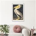 Picture of Vintage White Pelican _GroupedProduct_Rectangle_Portrait_Canvas_Framed_