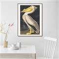 Picture of Vintage White Pelican _GroupedProduct_Rectangle_Portrait_Canvas_Framed_