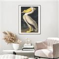 Picture of Vintage White Pelican _GroupedProduct_Rectangle_Portrait_Canvas_Framed_