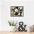 Picture of Black Billed Cuckoo Bird _GroupedProduct_Rectangle_Landscape_Canvas_Framed_