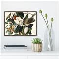 Picture of Black Billed Cuckoo Bird _GroupedProduct_Rectangle_Landscape_Canvas_Framed_