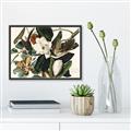 Picture of Black Billed Cuckoo Bird _GroupedProduct_Rectangle_Landscape_Canvas_Framed_