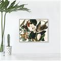 Picture of Black Billed Cuckoo Bird _GroupedProduct_Rectangle_Landscape_Canvas_Framed_