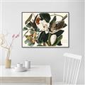 Picture of Black Billed Cuckoo Bird _GroupedProduct_Rectangle_Landscape_Canvas_Framed_
