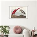 Picture of Vintage Scarlet Ibis Bird _GroupedProduct_Rectangle_Landscape_Canvas_Framed_