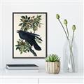 Picture of Raven From Birds of America (1827) _GroupedProduct_Rectangle_Portrait_Canvas_Framed_