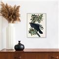 Picture of Raven From Birds of America (1827) _GroupedProduct_Rectangle_Portrait_Canvas_Framed_