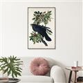 Picture of Raven From Birds of America (1827) _GroupedProduct_Rectangle_Portrait_Canvas_Framed_