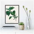 Picture of Nostalgic Green Lilac Leaves _GroupedProduct_Rectangle_Portrait_Canvas_Framed_