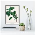Picture of Nostalgic Green Lilac Leaves _GroupedProduct_Rectangle_Portrait_Canvas_Framed_