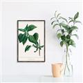 Picture of Nostalgic Green Lilac Leaves _GroupedProduct_Rectangle_Portrait_Canvas_Framed_