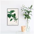 Picture of Nostalgic Green Lilac Leaves _GroupedProduct_Rectangle_Portrait_Canvas_Framed_