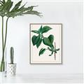 Picture of Nostalgic Green Lilac Leaves _GroupedProduct_Rectangle_Portrait_Canvas_Framed_