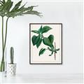 Picture of Nostalgic Green Lilac Leaves _GroupedProduct_Rectangle_Portrait_Canvas_Framed_