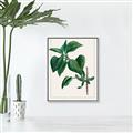 Picture of Nostalgic Green Lilac Leaves _GroupedProduct_Rectangle_Portrait_Canvas_Framed_
