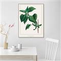 Picture of Nostalgic Green Lilac Leaves _GroupedProduct_Rectangle_Portrait_Canvas_Framed_