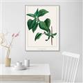 Picture of Nostalgic Green Lilac Leaves _GroupedProduct_Rectangle_Portrait_Canvas_Framed_