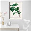 Picture of Nostalgic Green Lilac Leaves _GroupedProduct_Rectangle_Portrait_Canvas_Framed_