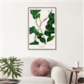 Picture of Nostalgic Green Murgrona Leaves _GroupedProduct_Rectangle_Portrait_Canvas_Framed_