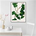 Picture of Nostalgic Green Murgrona Leaves _GroupedProduct_Rectangle_Portrait_Canvas_Framed_