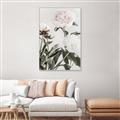 Picture of Romantic Blur Peony V _GroupedProduct_Rectangle_Portrait_Photography _GroupedProduct_Rectangle_Portrait_Canvas_Framed_
