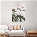 Picture of Romantic Blur Peony V _GroupedProduct_Rectangle_Portrait_Photography _GroupedProduct_Rectangle_Portrait_Canvas_Framed_