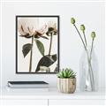 Picture of Romantic Blur Peony IV _GroupedProduct_Rectangle_Portrait_Photography _GroupedProduct_Rectangle_Portrait_Canvas_Framed_