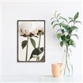 Picture of Romantic Blur Peony IV _GroupedProduct_Rectangle_Portrait_Photography _GroupedProduct_Rectangle_Portrait_Canvas_Framed_
